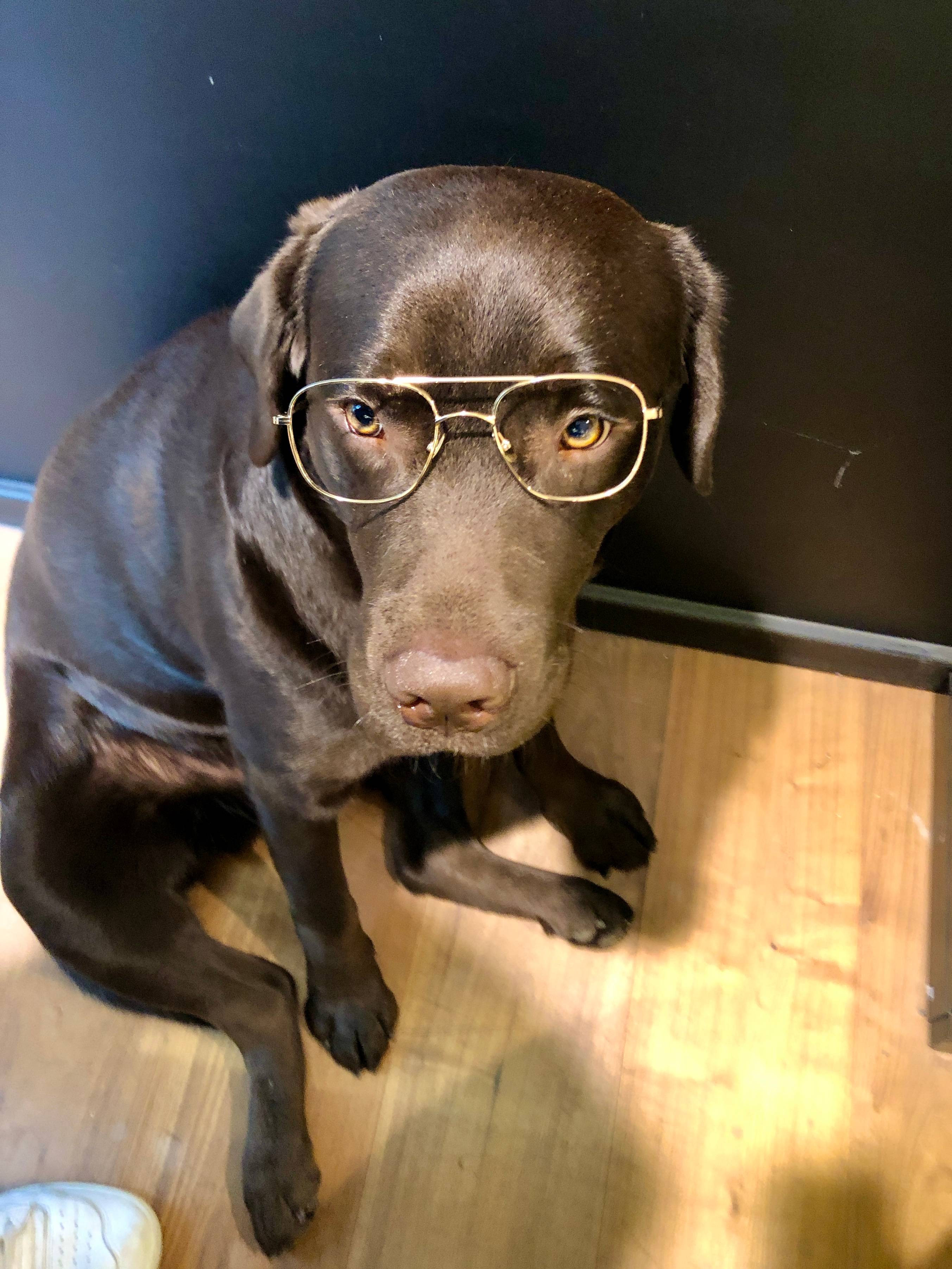 Balise alt de l'image