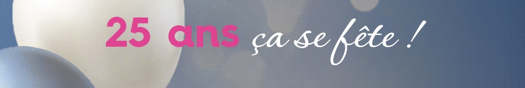 Balise alt de l'image