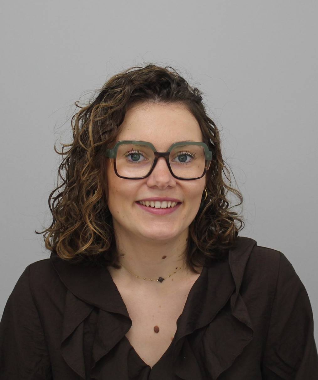 Balise alt de l'image