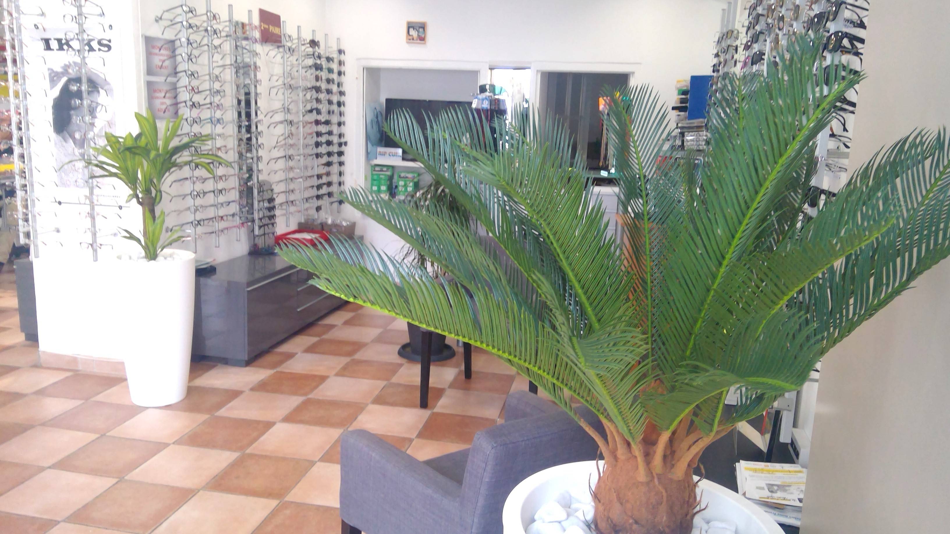 OPTIC DES COSTIERES