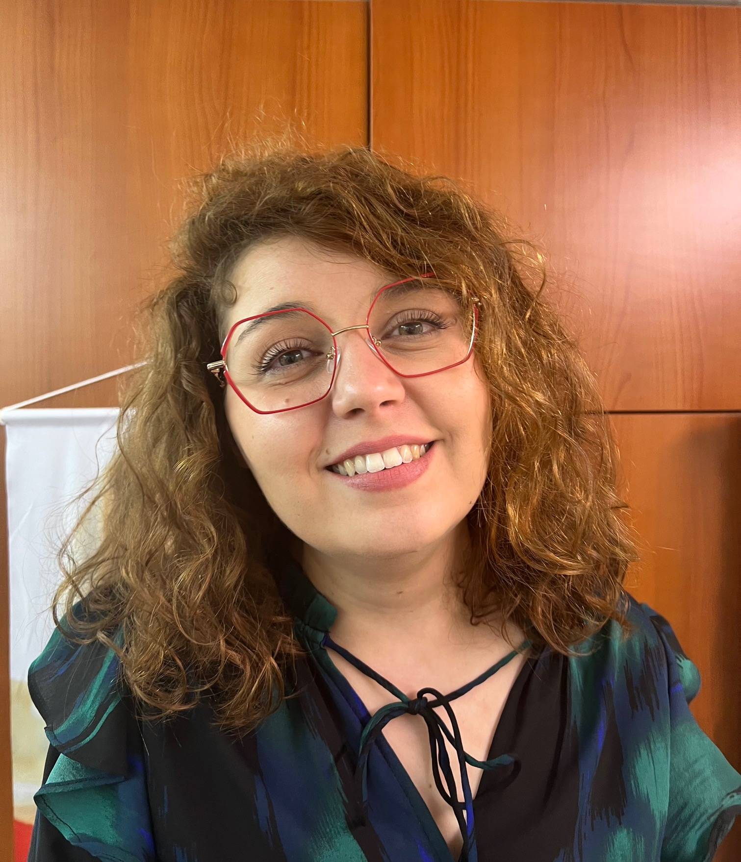 Balise alt de l'image