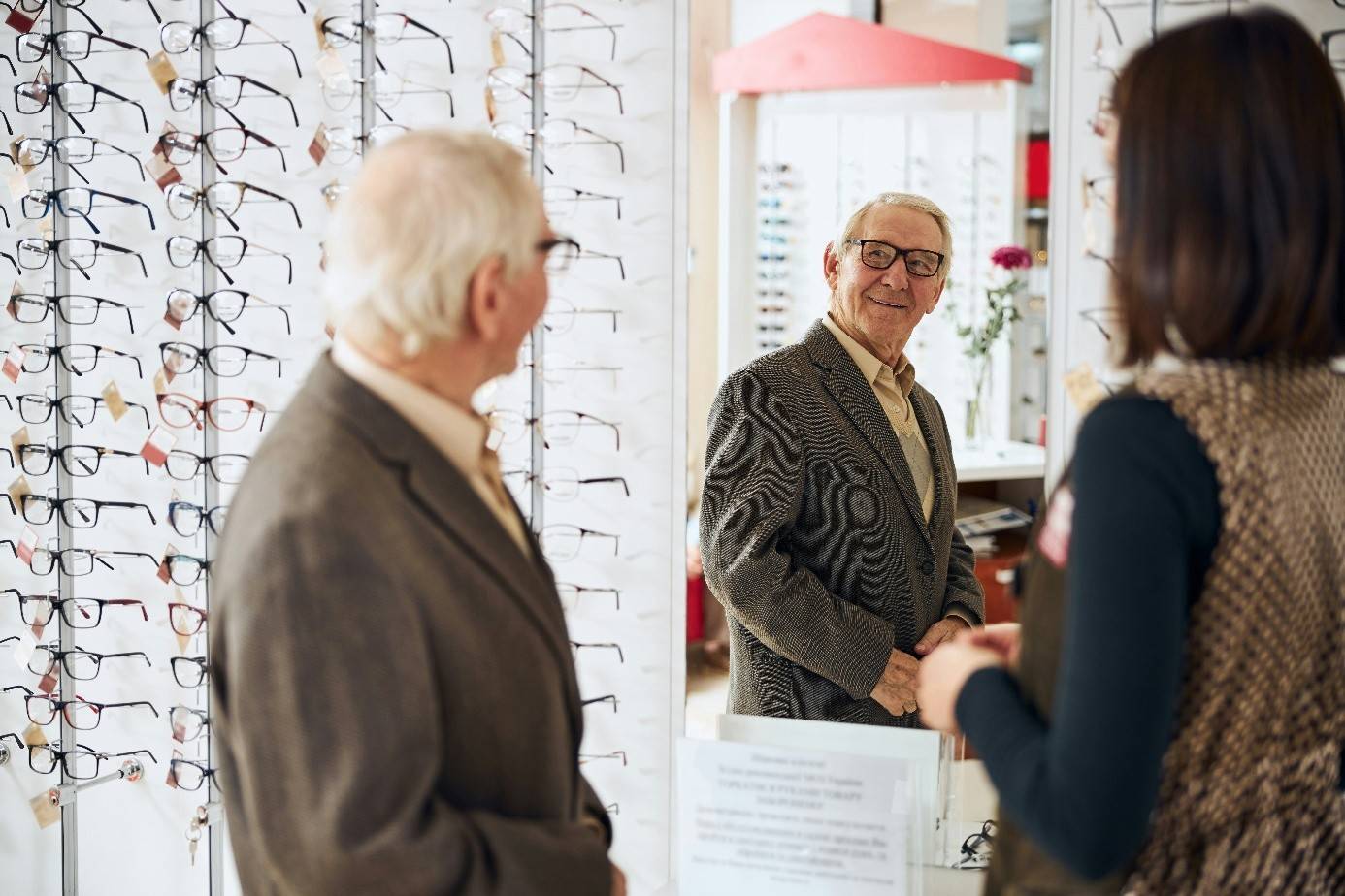 Collections en vitrine