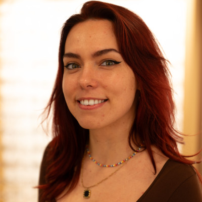 Balise alt de l'image