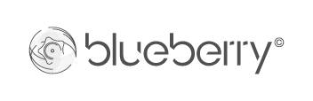 Logo Blueberry