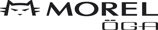 Logo öga